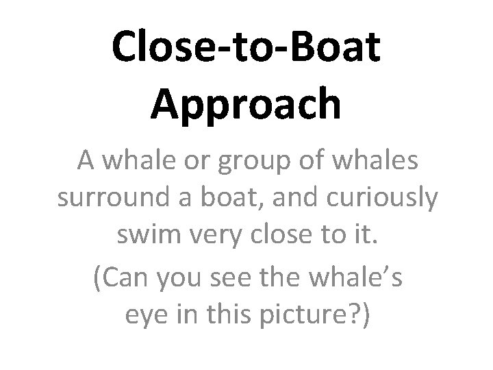 Close-to-Boat Approach A whale or group of whales surround a boat, and curiously swim