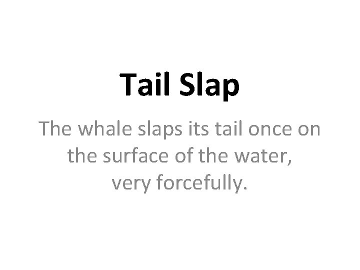 Tail Slap The whale slaps its tail once on the surface of the water,