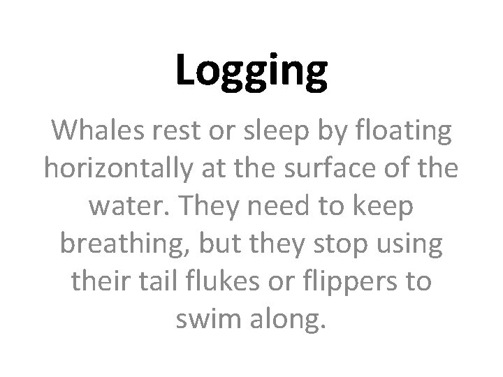 Logging Whales rest or sleep by floating horizontally at the surface of the water.