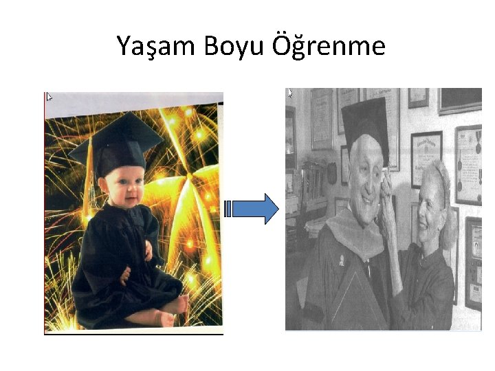 Yaşam Boyu Öğrenme 