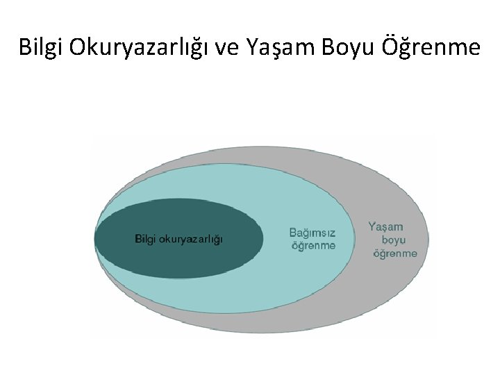 Bilgi Okuryazarlığı ve Yaşam Boyu Öğrenme 