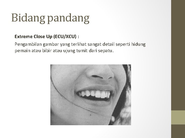 Bidang pandang Extreme Close Up (ECU/XCU) : Pengambilan gambar yang terlihat sangat detail seperti