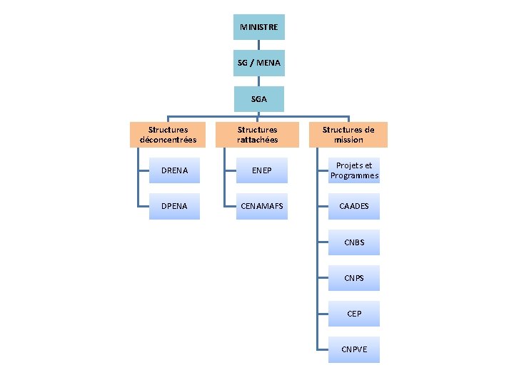 MINISTRE SG / MENA SGA Structures déconcentrées Structures rattachées Structures de mission DRENA ENEP