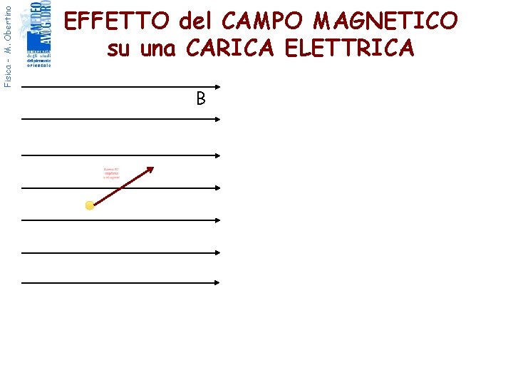 Fisica - M. Obertino EFFETTO del CAMPO MAGNETICO su una CARICA ELETTRICA B 