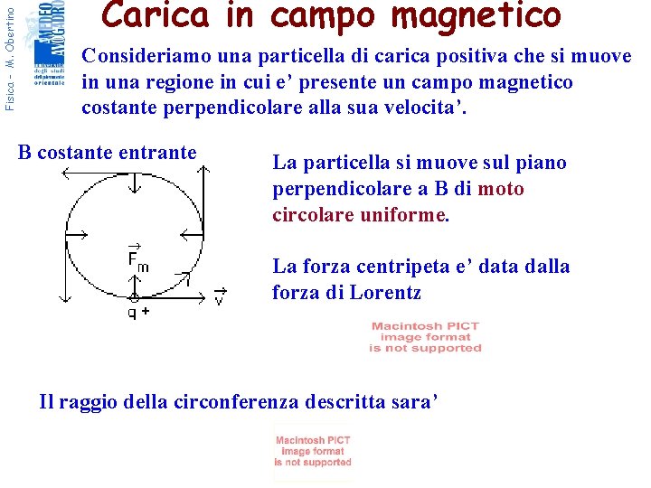 Fisica - M. Obertino Carica in campo magnetico Consideriamo una particella di carica positiva
