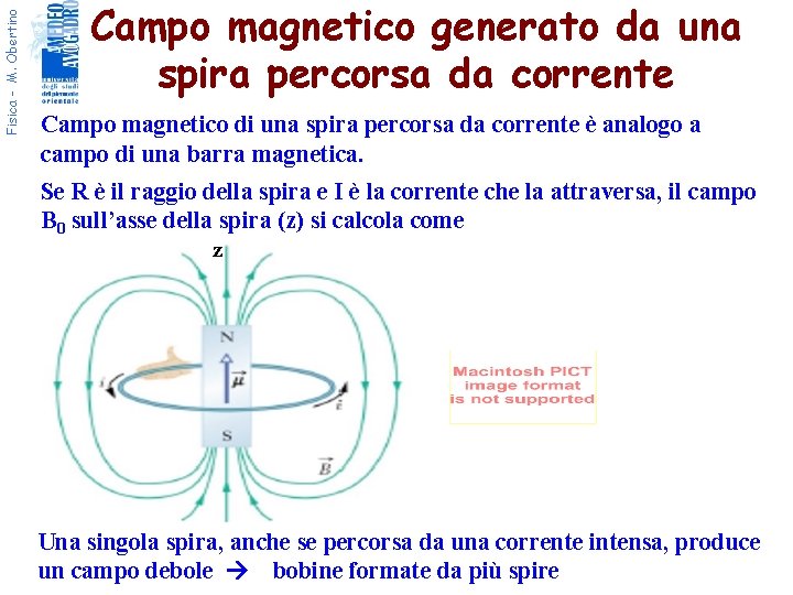 Fisica - M. Obertino Campo magnetico generato da una spira percorsa da corrente Campo