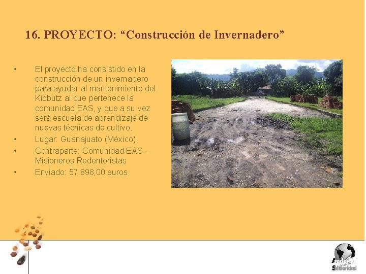 16. PROYECTO: “Construcción de Invernadero” • • El proyecto ha consistido en la construcción