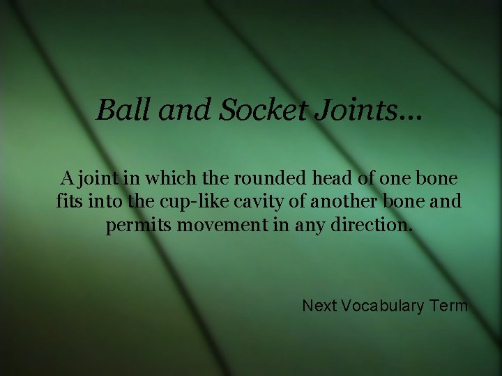 Ball and Socket Joints… A joint in which the rounded head of one bone