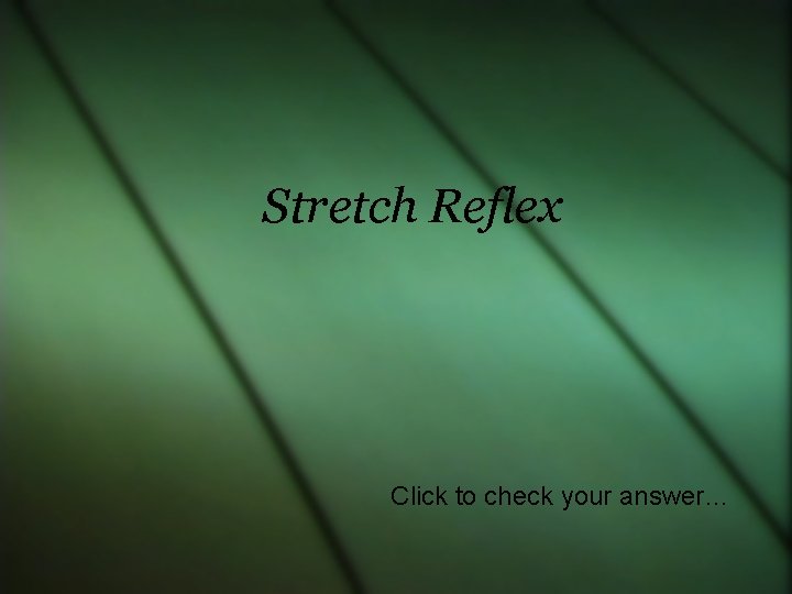 Stretch Reflex Click to check your answer… 