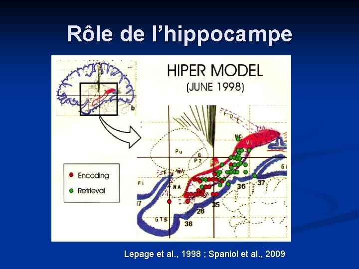 Rôle de l’hippocampe Lepage et al. , 1998 ; Spaniol et al. , 2009 Rôle de l’hippocampe Lepage et al. , 1998 ; Spaniol et al. , 2009