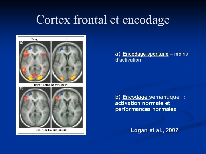 Cortex frontal et encodage a) Encodage spontané = moins d’activation b) Encodage sémantique : Cortex frontal et encodage a) Encodage spontané = moins d’activation b) Encodage sémantique :
