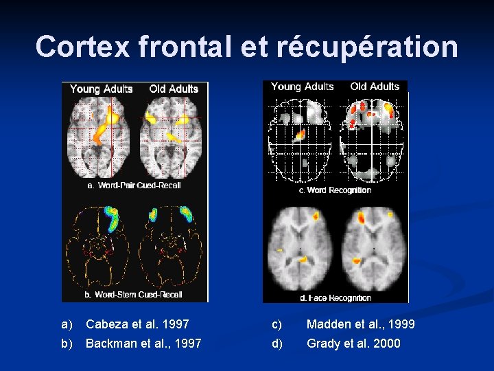 Cortex frontal et récupération a) Cabeza et al. 1997 c) Madden et al. , Cortex frontal et récupération a) Cabeza et al. 1997 c) Madden et al. ,