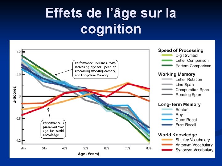Effets de l’âge sur la cognition Effets de l’âge sur la cognition