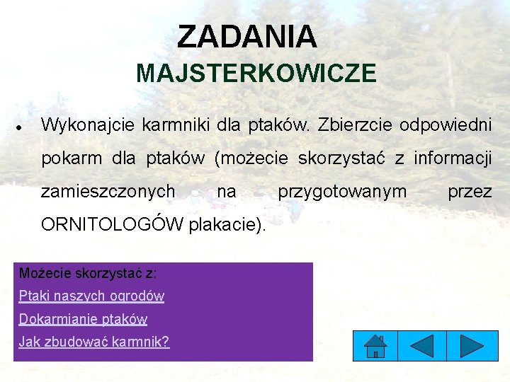 ZADANIA MAJSTERKOWICZE Wykonajcie karmniki dla ptaków. Zbierzcie odpowiedni pokarm dla ptaków (możecie skorzystać z