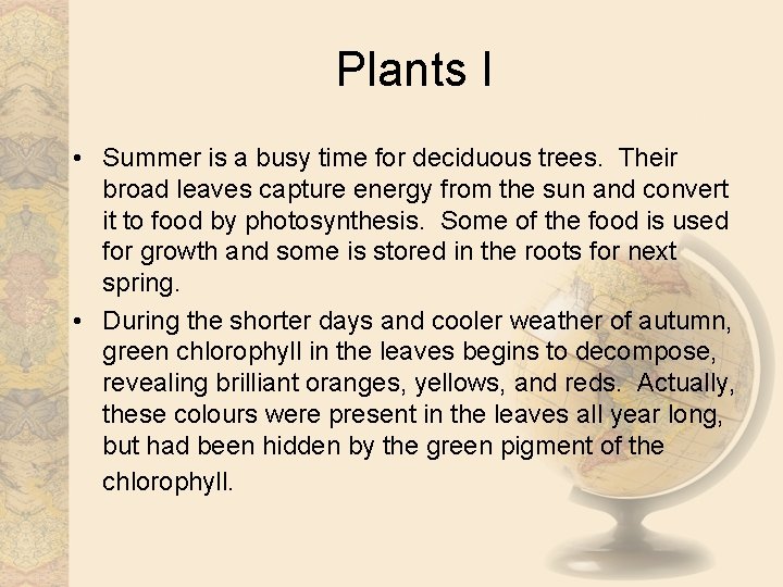 Plants I • Summer is a busy time for deciduous trees. Their broad leaves