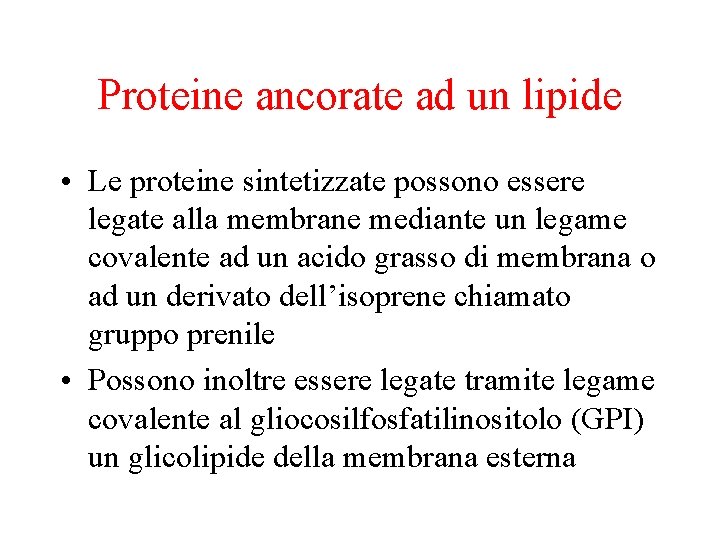 Proteine ancorate ad un lipide • Le proteine sintetizzate possono essere legate alla membrane