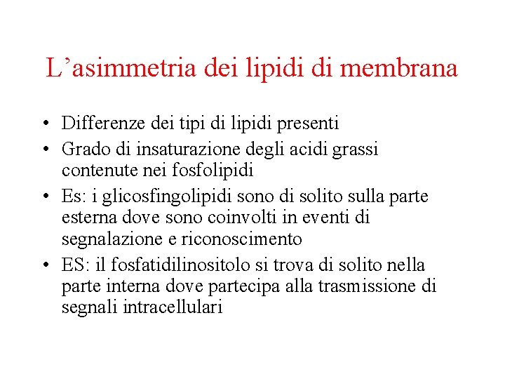 L’asimmetria dei lipidi di membrana • Differenze dei tipi di lipidi presenti • Grado