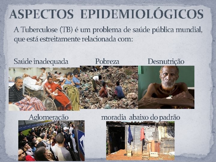 ASPECTOS EPIDEMIOLÓGICOS A Tuberculose (TB) é um problema de saúde pública mundial, que está