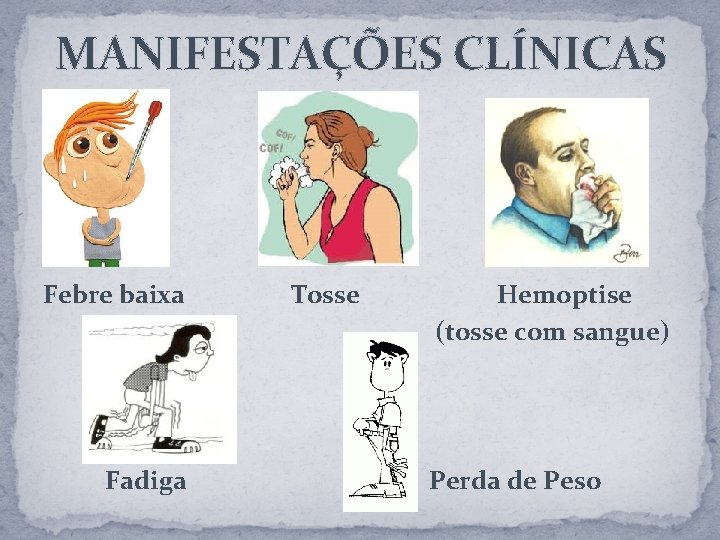 MANIFESTAÇÕES CLÍNICAS Febre baixa Fadiga Tosse Hemoptise (tosse com sangue) Perda de Peso 