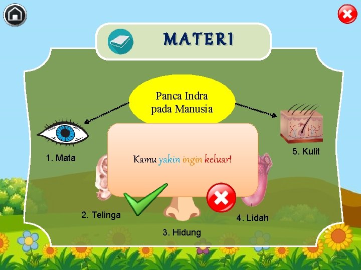 MATERI Panca Indra pada Manusia 1. Mata 5. Kulit Kamu yakin ingin keluar! 2.