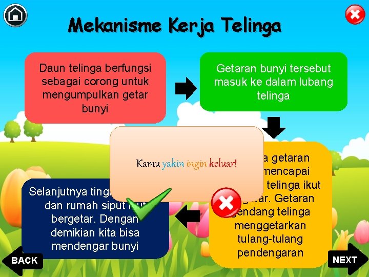 Mekanisme Kerja Telinga Daun telinga berfungsi sebagai corong untuk mengumpulkan getar bunyi Getaran bunyi