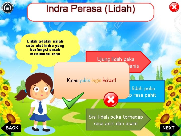 Indra Perasa (Lidah) Lidah adalah satu alat indra yang berfungsi untuk menikmati rasa Ujung