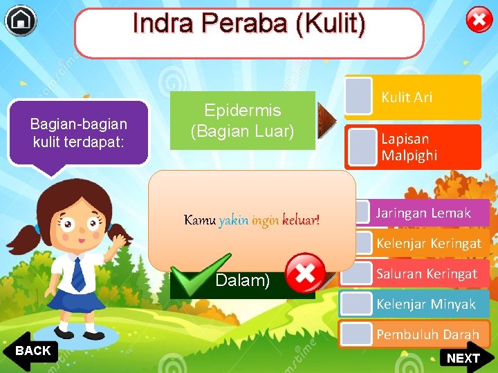 Indra Peraba (Kulit) Bagian-bagian kulit terdapat: Epidermis (Bagian Luar) Kamu yakin ingin keluar! Dermis