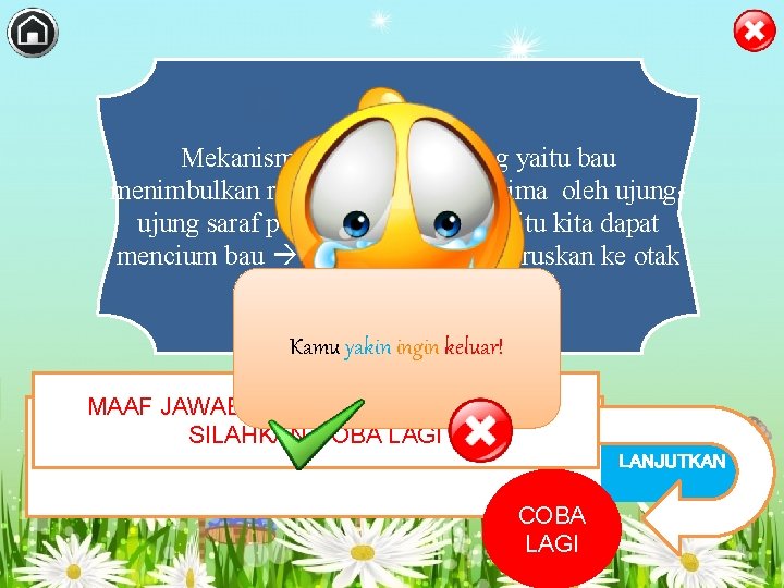 Mekanisme kerja pada hidung yaitu bau menimbulkan rangsangan yang diterima oleh ujung saraf pembau