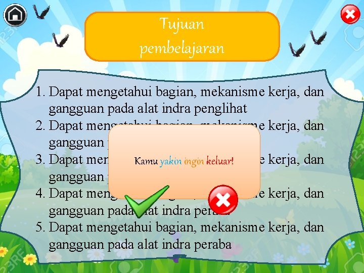 Tujuan pembelajaran 1. Dapat mengetahui bagian, mekanisme kerja, dan gangguan pada alat indra penglihat