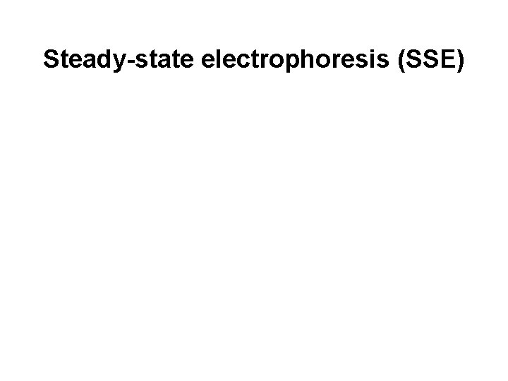 Steady-state electrophoresis (SSE) 