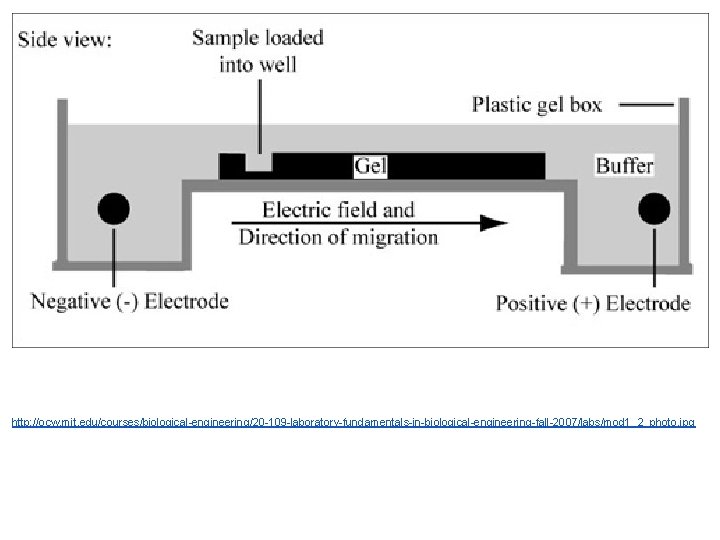 http: //ocw. mit. edu/courses/biological-engineering/20 -109 -laboratory-fundamentals-in-biological-engineering-fall-2007/labs/mod 1_2_photo. jpg 