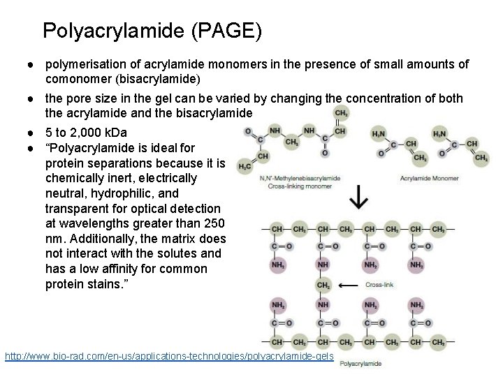 Polyacrylamide (PAGE) ● polymerisation of acrylamide monomers in the presence of small amounts of