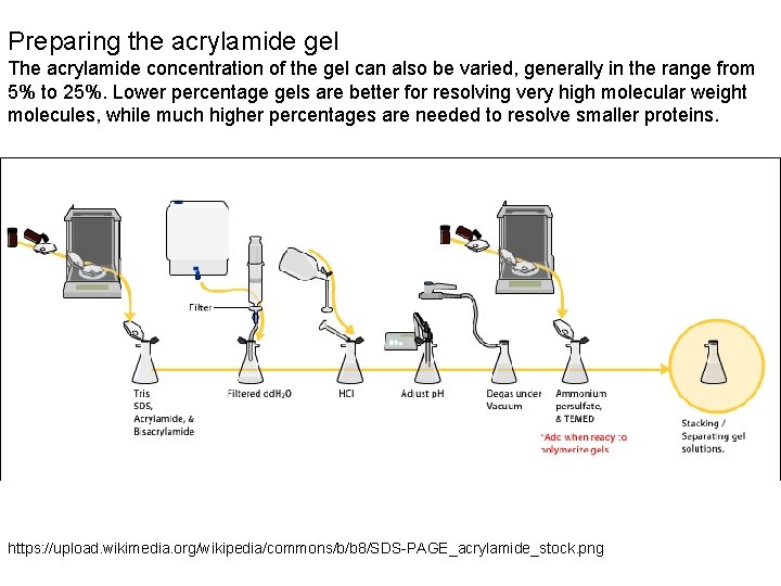 Preparing the acrylamide gel The acrylamide concentration of the gel can also be varied,