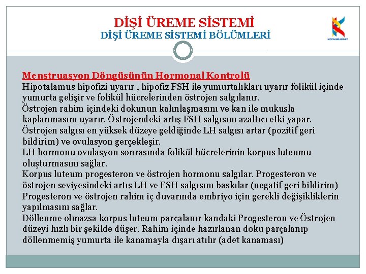 DİŞİ ÜREME SİSTEMİ BÖLÜMLERİ Menstruasyon Döngüsünün Hormonal Kontrolü Hipotalamus hipofizi uyarır , hipofiz FSH