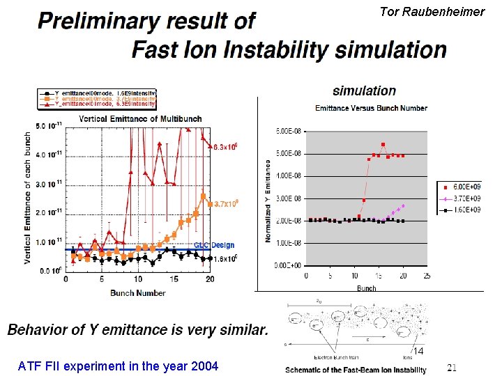 Tor Raubenheimer 14 ATF FII experiment in the year 2004 