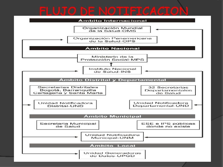 FLUJO DE NOTIFICACION 