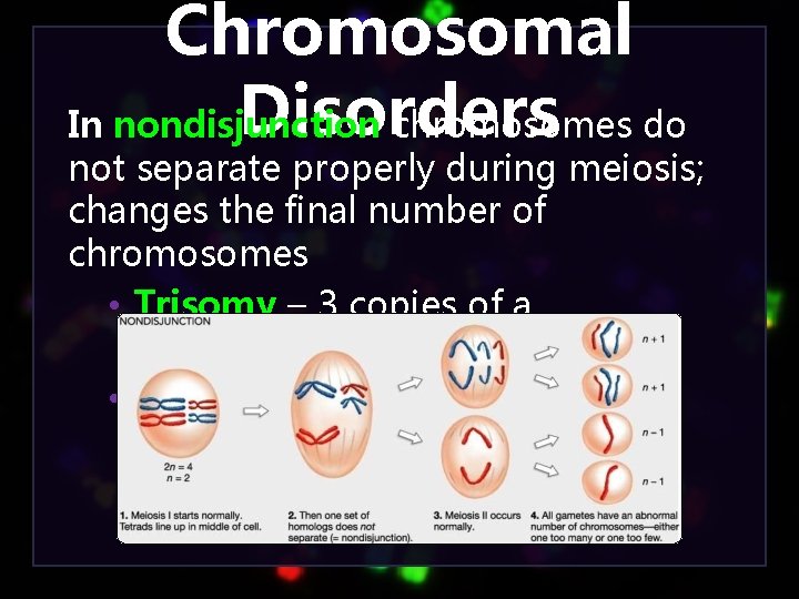 Chromosomal Disorders In nondisjunction chromosomes do not separate properly during meiosis; changes the final