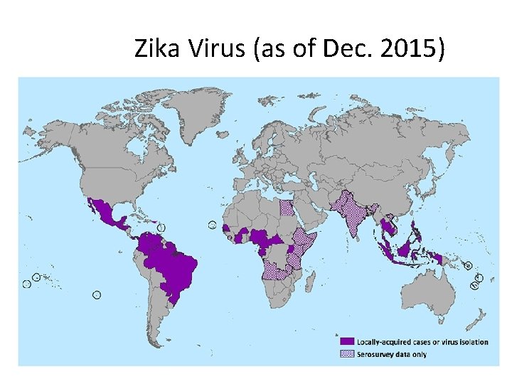 Zika Virus (as of Dec. 2015) 