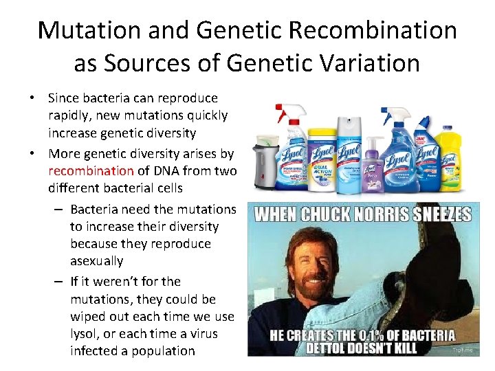 Mutation and Genetic Recombination as Sources of Genetic Variation • Since bacteria can reproduce