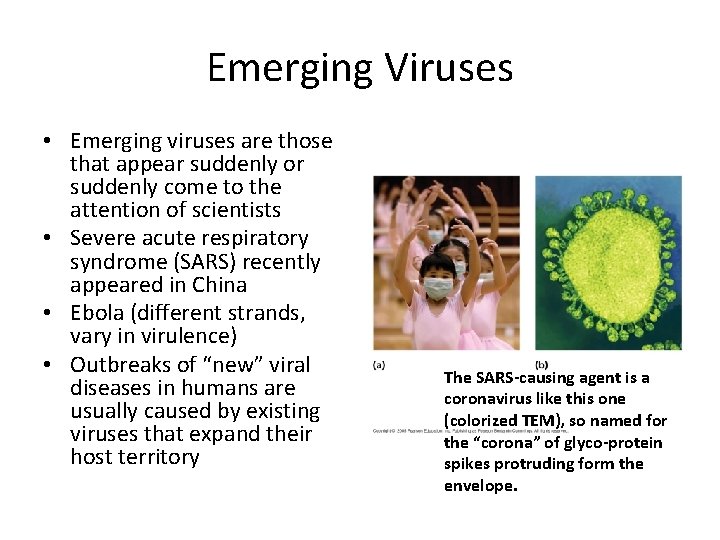 Emerging Viruses • Emerging viruses are those that appear suddenly or suddenly come to