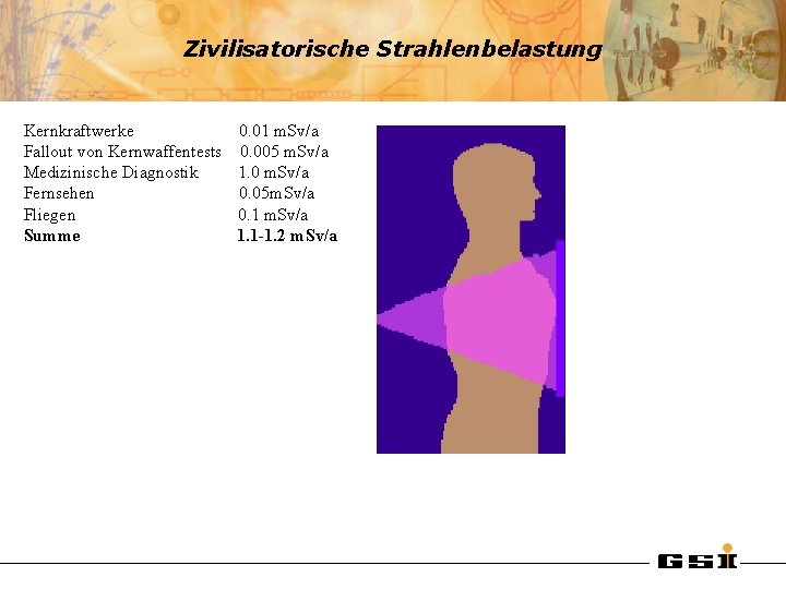 Zivilisatorische Strahlenbelastung Kernkraftwerke Fallout von Kernwaffentests Medizinische Diagnostik Fernsehen Fliegen Summe 0. 01 m.