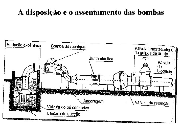 A disposição e o assentamento das bombas 