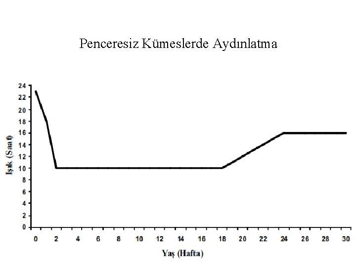 Penceresiz Kümeslerde Aydınlatma 