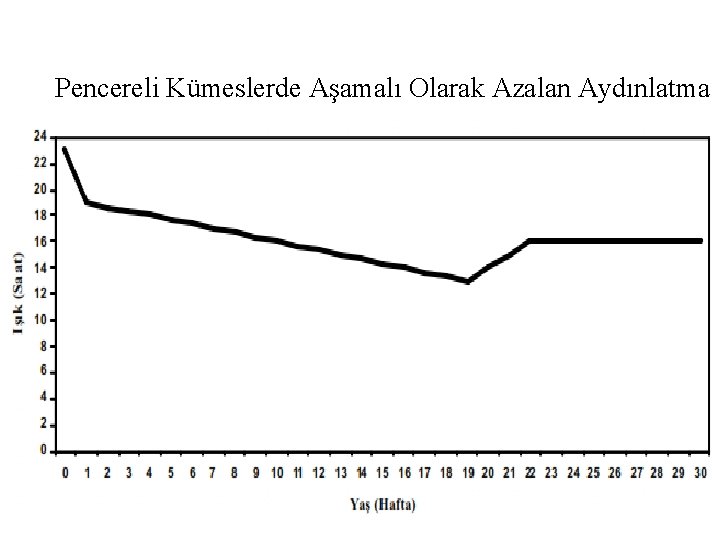 Pencereli Kümeslerde Aşamalı Olarak Azalan Aydınlatma 