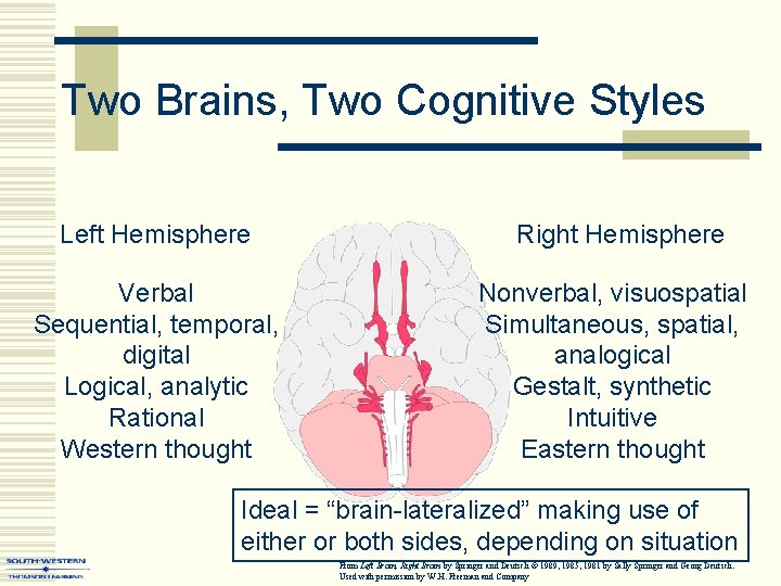 Two Brains, Two Cognitive Styles Left Hemisphere Verbal Sequential, temporal, digital Logical, analytic Rational
