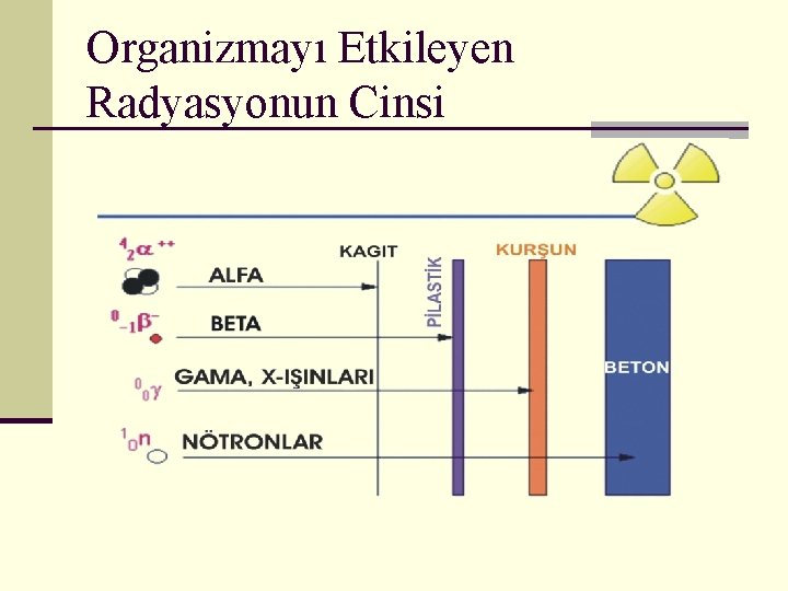 Organizmayı Etkileyen Radyasyonun Cinsi 