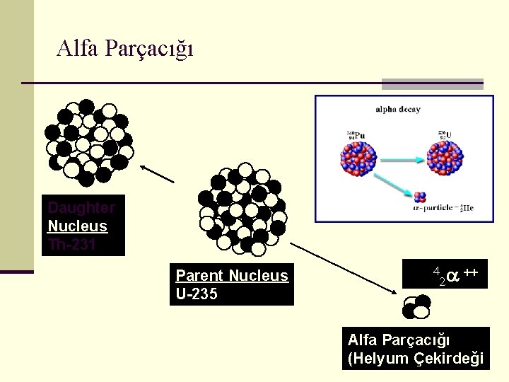 Alfa Parçacığı Daughter Nucleus Th-231 Parent Nucleus U-235 4 a ++ 2 Alfa Parçacığı