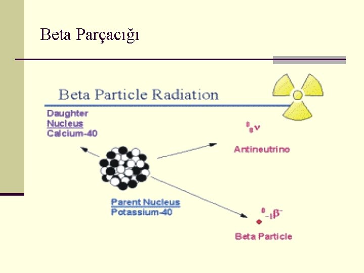 Beta Parçacığı 