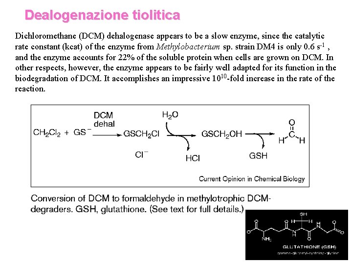 Dealogenazione tiolitica Dichloromethane (DCM) dehalogenase appears to be a slow enzyme, since the catalytic