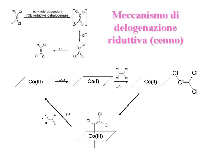 Meccanismo di delogenazione riduttiva (cenno) Co(III) +2 e- Co(I) Co(II) -Cl- - +H+ Co(III)